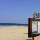 안목해변 이미지