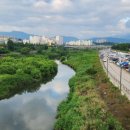 남대천새벽시장 이미지