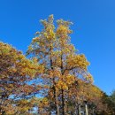 삼악산관리사무소 | 용문산 가을 산행