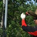 수훈농장 이미지