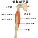 에스짐 - 진주시 비봉로24번길 12 | 에스짐