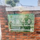 코뮨바움