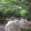 봉동 구수골 계곡 이미지