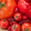 고릴라 휘트니스 이미지