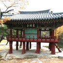 동호마을 농로 이미지