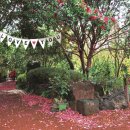 4색여행 이미지