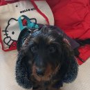 웨스턴5빌딩 이미지