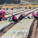 군위농협
