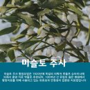 미슬토 주사 가격과 시술 과정, 믿을 수 있는 병원 선택법