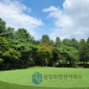 여주-1125 티스토리
