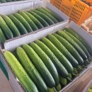 하늘그린 이미지