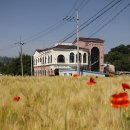 비슬향 유치원 이미지