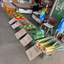 삼산사거리~농산물도매시장입구 | 인천 “삼산농산물도매시장”