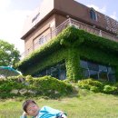 언덕위에 작은 민박 이미지