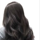 린스헤어 이미지