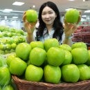 아삭 이미지