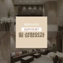 바라본성형외과의원 | 코성형외과 얼굴 균형을 고려한 세밀한 코 교정 시술