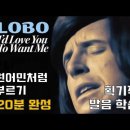 노래를 배워봅시다 12 | I'd Love You To Want Me - LOBO 이미지