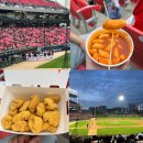 11650-17-113-5 | 광주 기아 챔피언스필드 1루 K9 113블록 17열 5번 6번 직관 후기