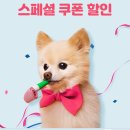 강아지 고양이의 치아 건강을 위한 미국 펫스마일 치약 저렴하게 구매대행