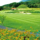 뉴스프링빌2CC 네이버블로그