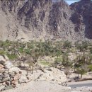 르비딤