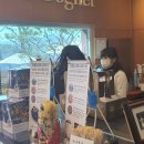 소나무집인카페보그너 이미지