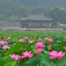 유등연지입구 이미지