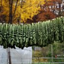 만추의 전원 이미지