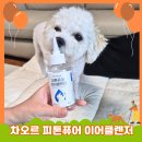 퓨어 | 강아지귀세정제 차오르 차바이오 피톤퓨어 후기