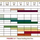 에코한의원 이미지