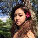 도개상회 이미지