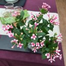 25.10.21. 경북대학교 평생교육원 &#34;차와 함께하는 빛명상&#34; 이미지