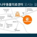 나우동물의료센터 이미지