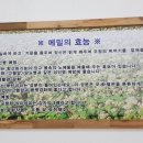 예향막국수 이미지