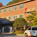 SRC재활병원2 네이버블로그