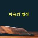 마음의 법칙 이미지