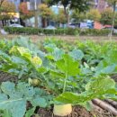 (유)현유 이미지