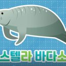 와이제이크리에이티브
