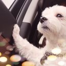 카페 913 이미지