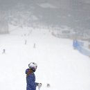 평창동계올림픽대회 스키장 슬로프를 미리 즐기자! 휘닉스 평창의 ‘평행대회전’ ‘크로스’ 코스 이미지