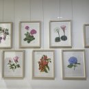 고운동 복컴 북측 3층 이미지