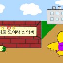 오늘 저녁 메뉴 : 닭한마리 칼국수 이미지