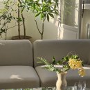 스튜디오아워시즌