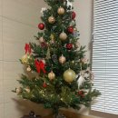 랩바이오 | 식사 호불호·알러지 걱정 많은 다견가정에서 선택한 바이오펫랩 아이프로 2.0 솔직 후기 🐶