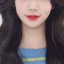 디엘헤어 이미지