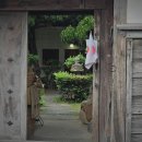 송하촌 | 찾아 떠나다 &lt;야마구치현 하기萩여행 가볼만한 곳: 명륜관, 송하촌숙&gt; (야마구치 히로시마 패스 후기)