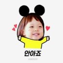 성제 카카오 검색결과