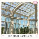 대전 씨엘드포레 하객 후기 야외웨딩 4월 성수기 결혼식 리뷰