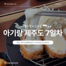 제주국제평화센터 | 11개월 아기랑 제주여행 #08. 연돈, 제주국제평화센터, 야크마을 현무암치킨